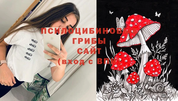 сатива Киреевск