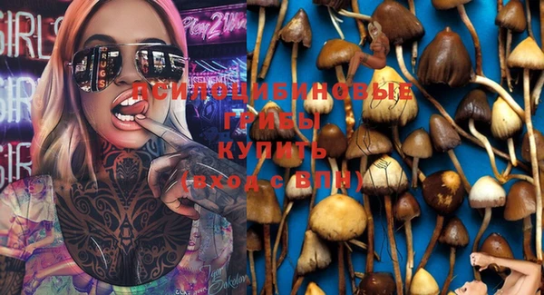 сатива Киреевск
