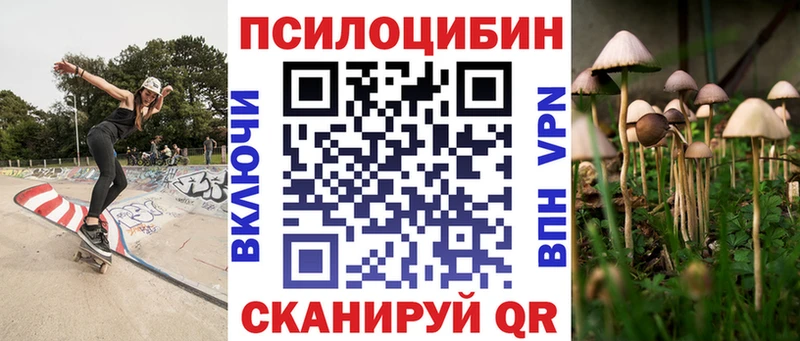 Псилоцибиновые грибы мицелий  Купить где  Зея 
