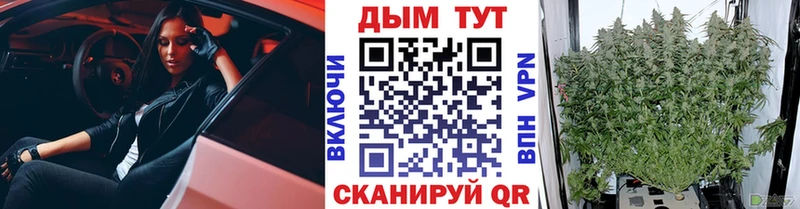 Шишки марихуана MAZAR Зея